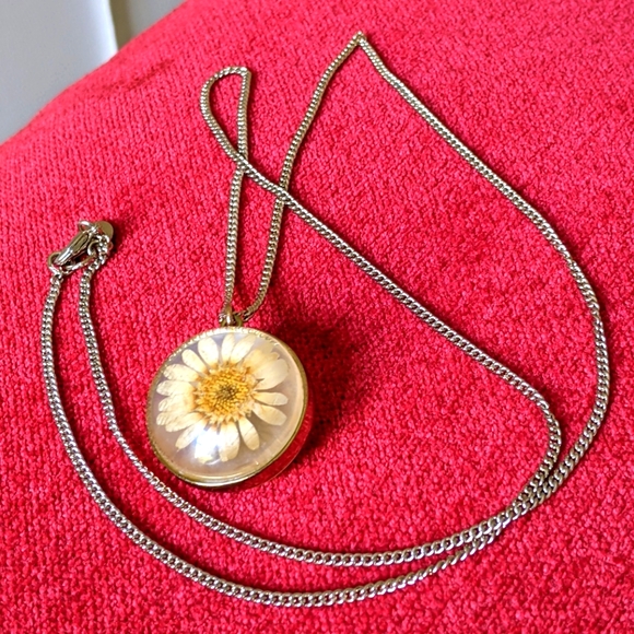 🤍🧡 REAL PRESSED DRIED DAISY FLOWER NECKLACE - Picture 1 of 6